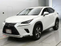 2019 Lexus NX
