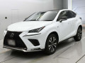 2019 Lexus NX