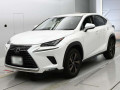 2017 Lexus NX