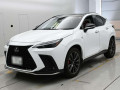 2025 Lexus NX