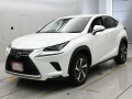 2019 Lexus NX
