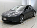 2024 Others MODEL 3