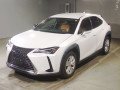 2021 Lexus UX