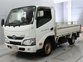2019 Toyota Dyna Truck