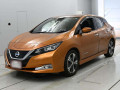2017 Nissan Leaf
