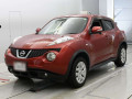 2011 Nissan JUKE