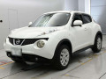 2013 Nissan JUKE