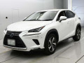 2018 Lexus NX