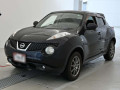 2011 Nissan JUKE