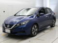 2021 Nissan Leaf