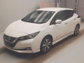 2019 Nissan Leaf