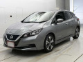 2021 Nissan Leaf