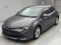 2021 Toyota Corolla Sports