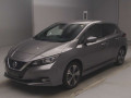 2017 Nissan Leaf