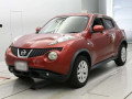 2011 Nissan JUKE