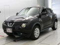 2013 Nissan JUKE