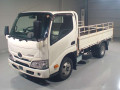 2019 Toyota Dyna Truck