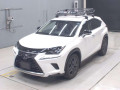 2019 Lexus NX