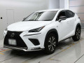 2018 Lexus NX
