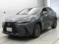 2025 Lexus NX