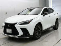 2025 Lexus NX