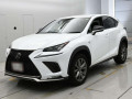 2019 Lexus NX