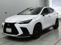2025 Lexus NX