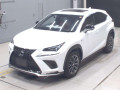 2021 Lexus NX