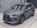 2019 Lexus NX