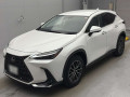 2023 Lexus NX
