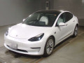 2022 Others MODEL 3
