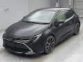 2021 Toyota Corolla Sports