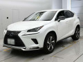 2020 Lexus NX