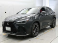 2025 Lexus NX