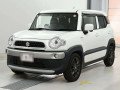 2019 Suzuki XBEE