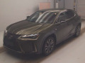 2019 Lexus UX