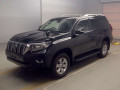 2021 Toyota Land Cruiser Prado