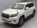 2019 Toyota Land Cruiser Prado