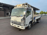 2020 Isuzu Elf Truck