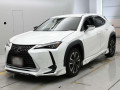 2021 Lexus UX