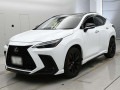 2021 Lexus NX