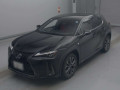 2019 Lexus UX