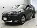 2019 Lexus NX