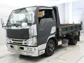 2008 Isuzu Elf Truck