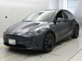 2023 Others MODEL Y