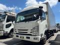 2020 Isuzu Elf Truck