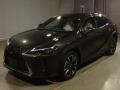 2019 Lexus UX