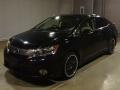 2010 Lexus HS