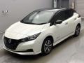 2021 Nissan Leaf