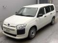 2019 Toyota Probox